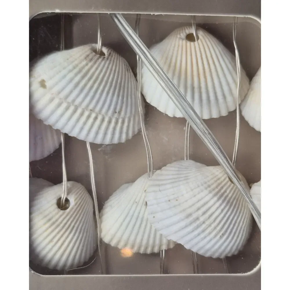 Pier 1 Seashell Glimmer Strings 40 Flexible LED Lights 10' Long NEW